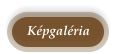 Képgaléria