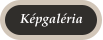 Képgaléria